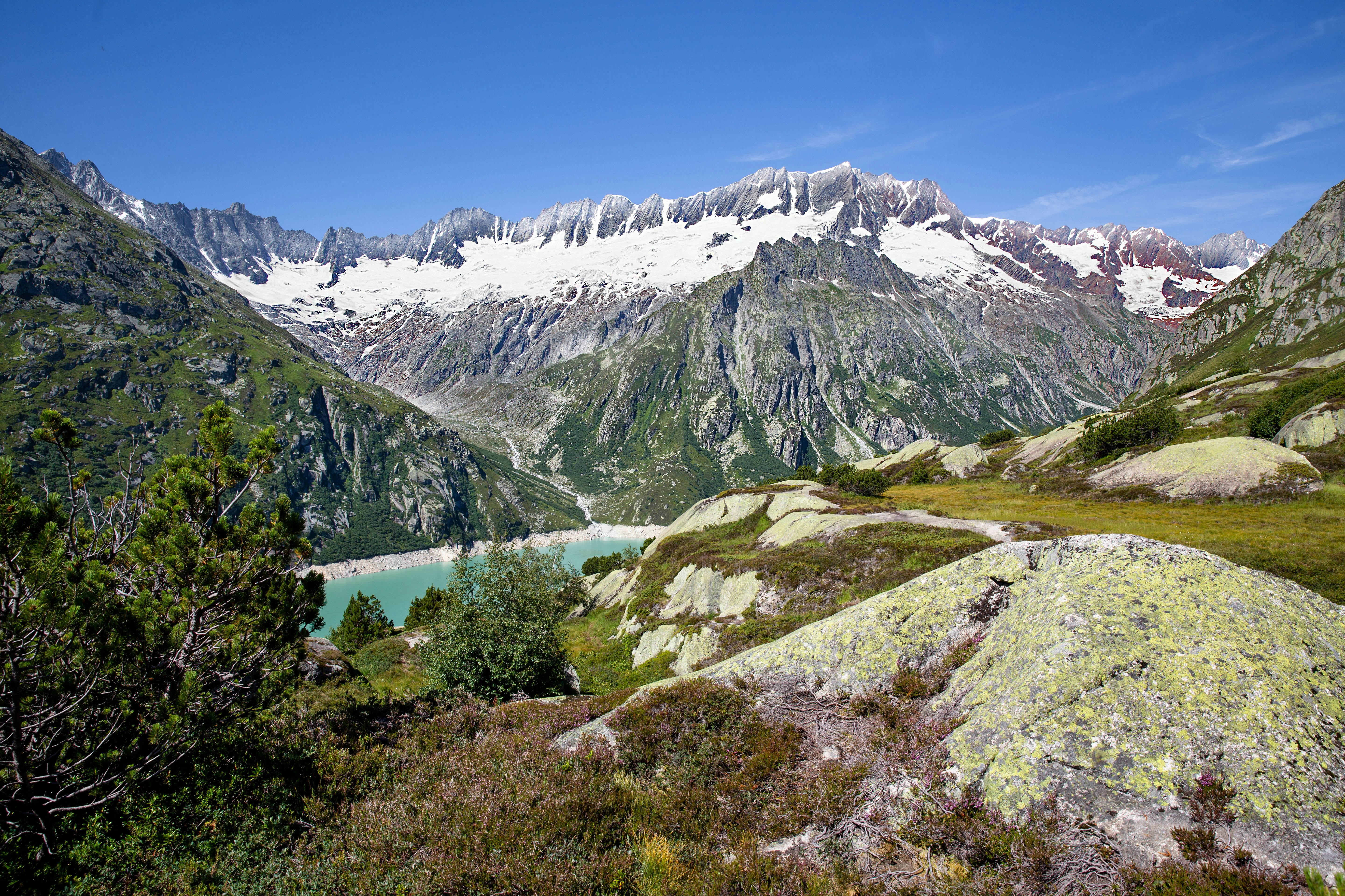 green grass field and snow covered mountains during daytime